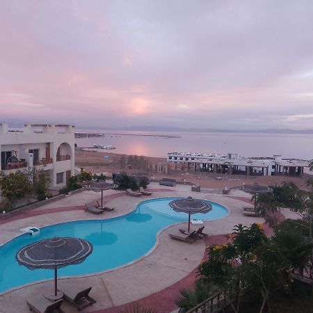 Awesome View Lejlighed Dahab Eksteriør billede