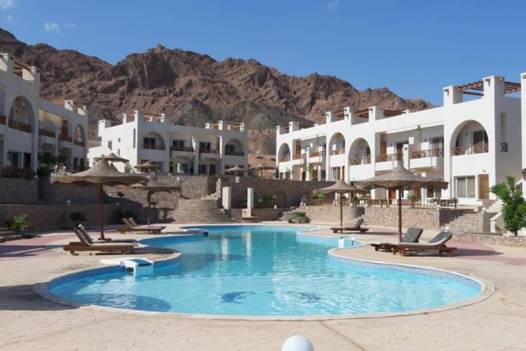 Awesome View Lejlighed Dahab Eksteriør billede